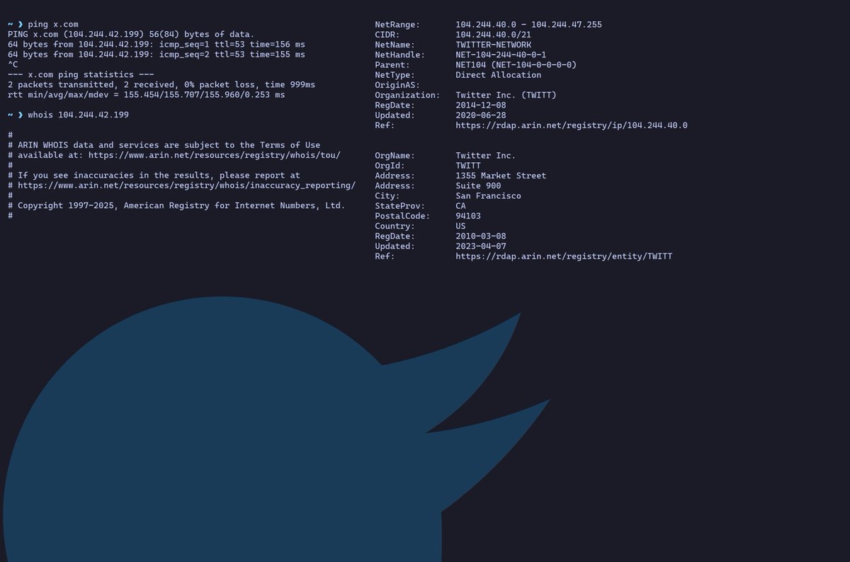 Isik Mater tweet media
