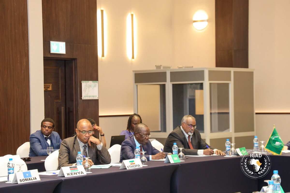 DrWorkneh's tweet image. Today in Djibouti, we convened a crucial meeting bringing together Special Envoys on Sudan, multilateral organisations, and key regional and international partners. We assessed the rapidly deteriorating situation, including the alarming escalation in El Fasher, and explored…