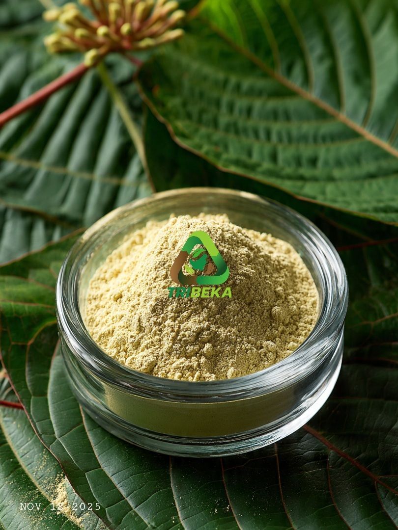 amiruddinhariss's tweet image. Discover the natural edge with K-Extract M80—crafted for buyers who value consistency and premium quality. Ready to scale your supply? Explore more here: haris.start.page

#kratom #NaturalExtract #7oh #naturalwellness #kratomextract