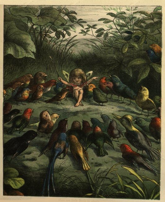 DrSamGeorge1's tweet image. PRINCESS NOBODY 1884 A collaboration between Andrew Lang and illustrator Richard Doyle, uncle of Sir Arthur Conan Doyle. From an early age he displayed a gifted ability to depict scenes of the fantastic, shown  in his images of fairy transport #FairyTaleTuesday