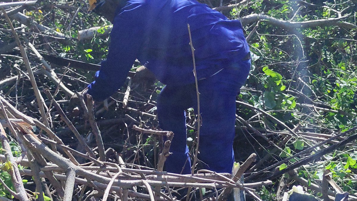 ArielAguilarC2's tweet image. La Brigada de linieros de Camagüey no cree en dificultades, han llegado a cinco municipios de nuestra #ProvinciaGranma en la recuperación de los daños ocasionados por el #HuracanMelissa. @YudelkisOrtizB @BorgesOlivero @ETECSAGranma @FonsecaOsmely