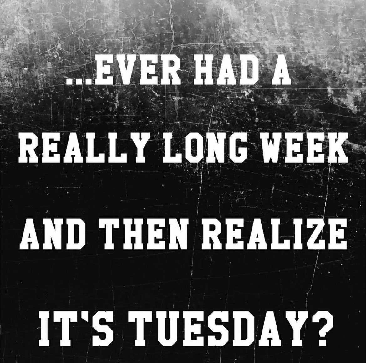 Good morning y’all