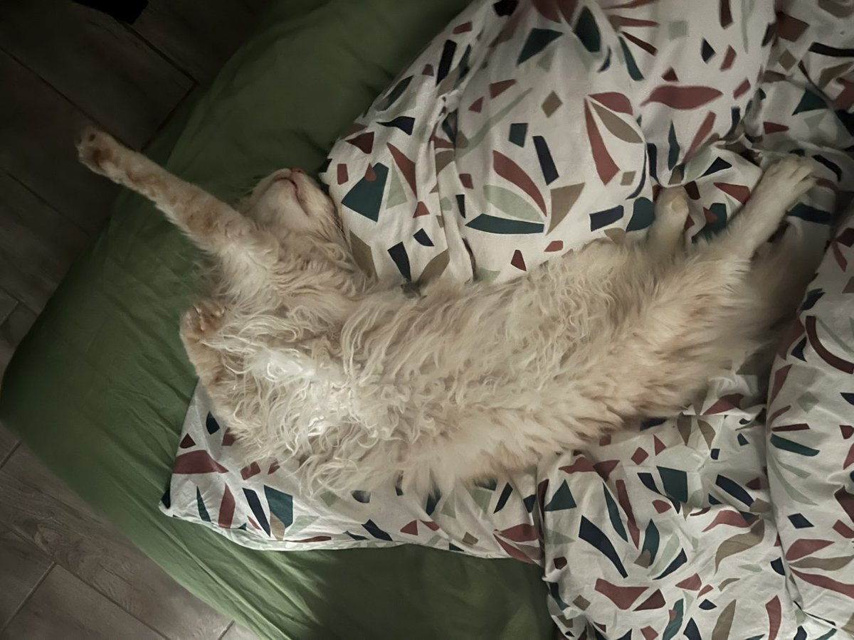 Mathookee's tweet image. Teïko il est 15h30 fait se réveiller !!!