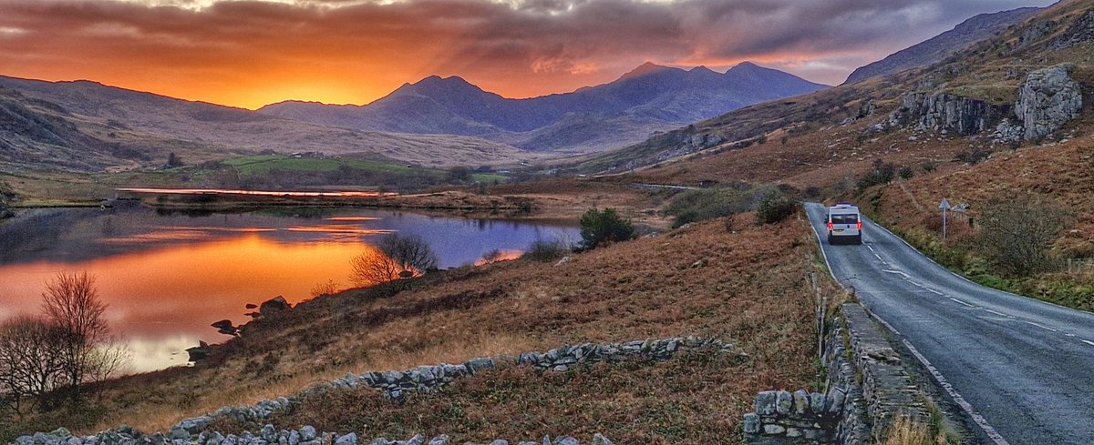 Anthony Ward tweet media