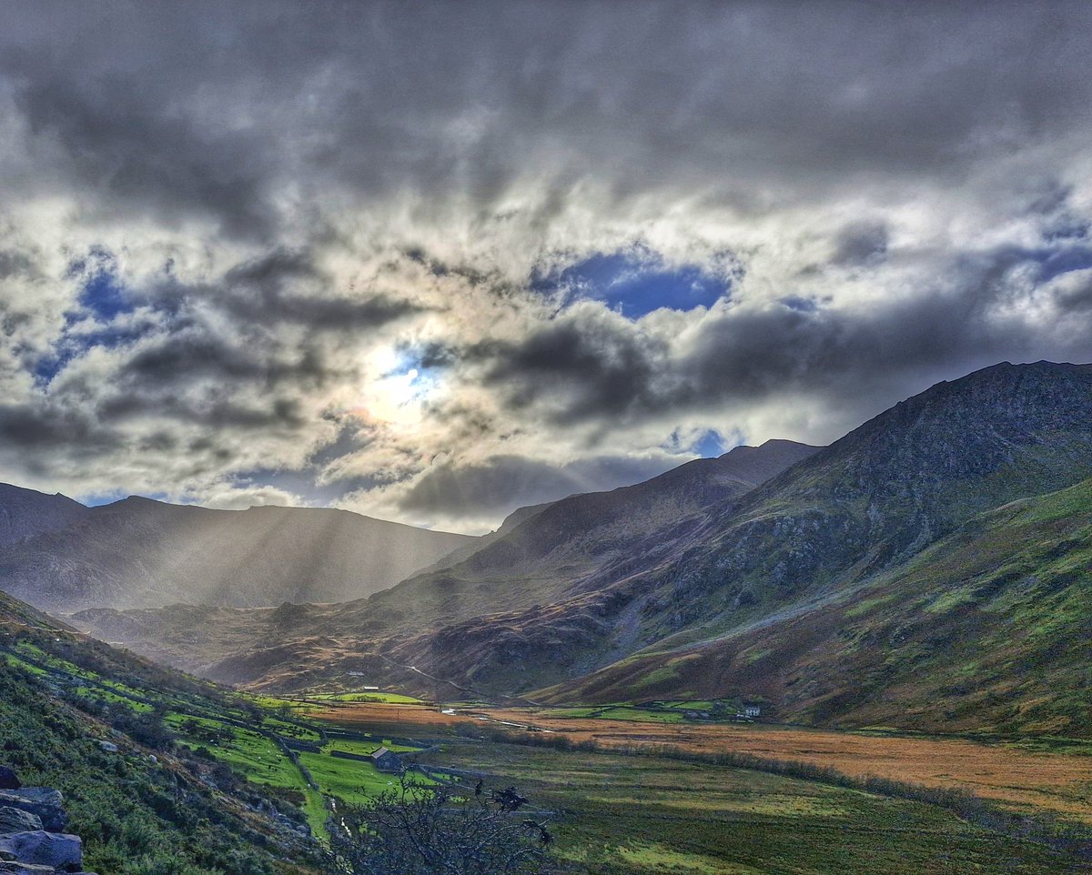 Anthony Ward tweet media