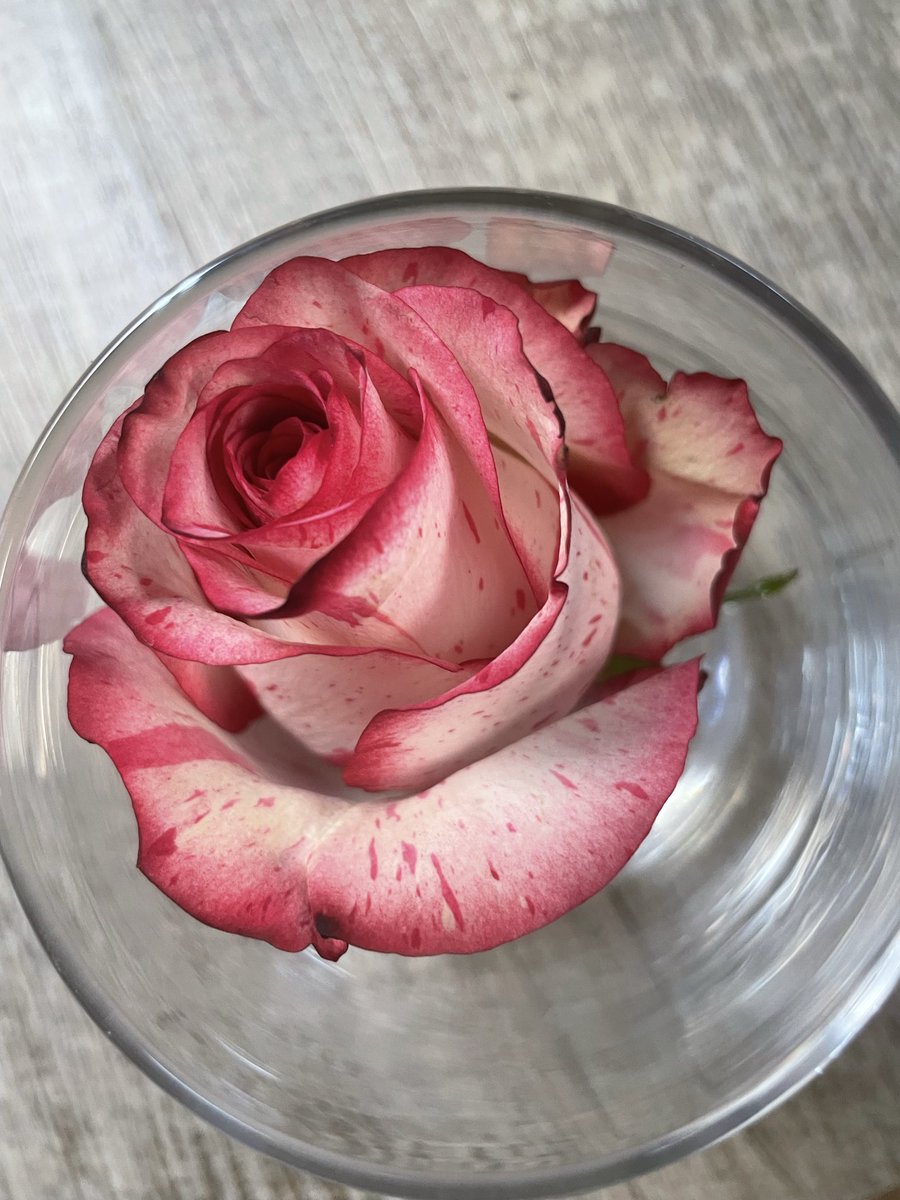 À un certain âge, vous devez prioriser de rester avec vous-même pour mieux vous connaître et vous construire.

Quand vous avez enfin trouvé la bonne personne avec qui cheminer, prenez plus de temps pour vous et moins avec les amis. 

Contrairement à ce qu’on raconte, ce n’est pas