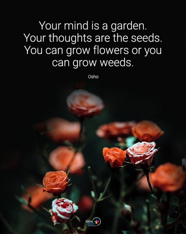 theMarcofGenius's tweet photo. #EmotionalIntelligence #GrowthMindset https://t.co/A4ZnjKdOJP
