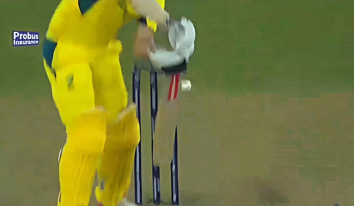 SelflessCricket's tweet image. We missed Word Cup just by 1 mm. 💔