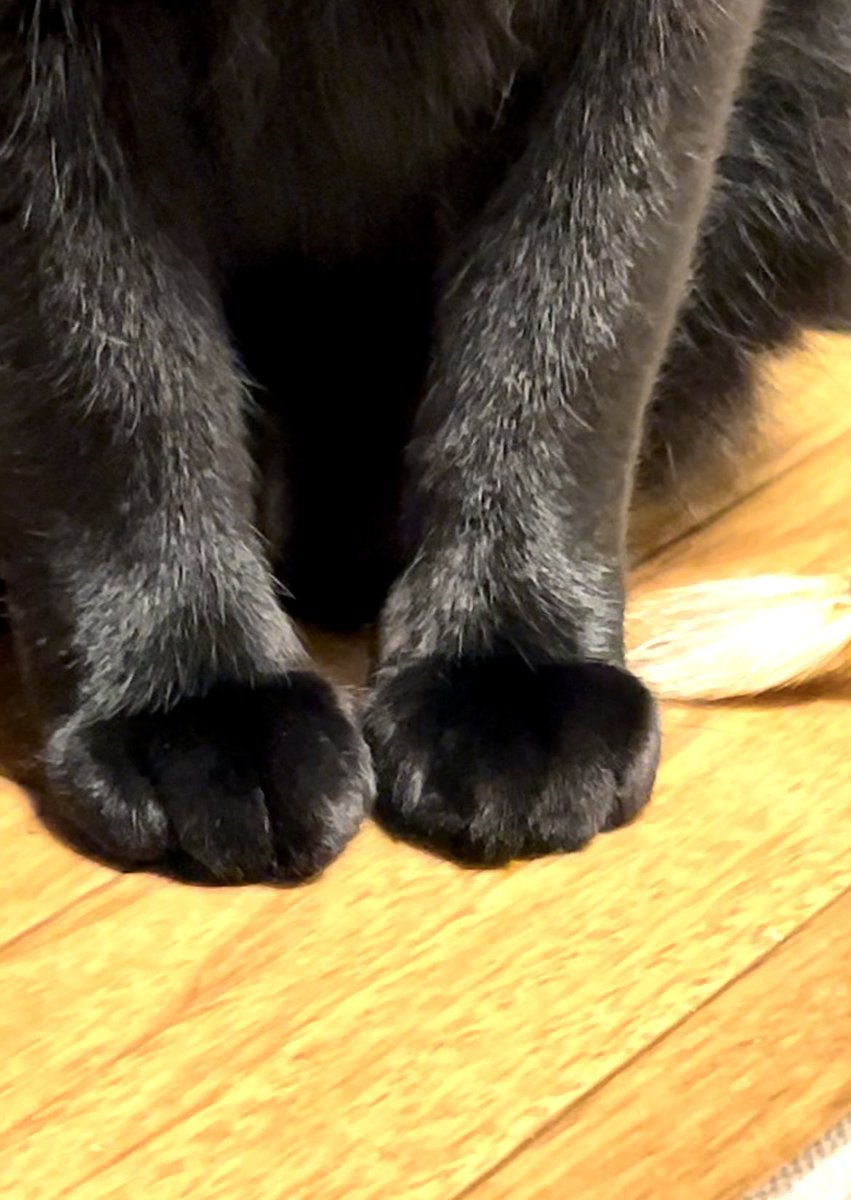 ほげー (@F7E0KYB4AfZaUQm) / Posts and Replies / X