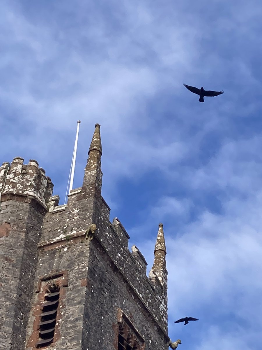 GailKir94323570's tweet image. Devon heaven.  A chilly, but beautiful morning.  Finding peace with nature.  Views from my village walk.
