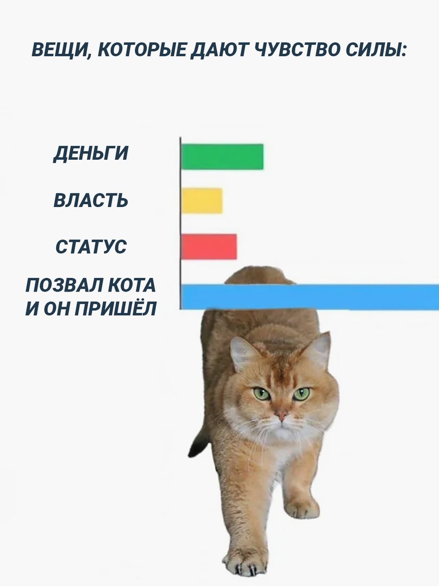 MCMLXXXIV™ tweet media