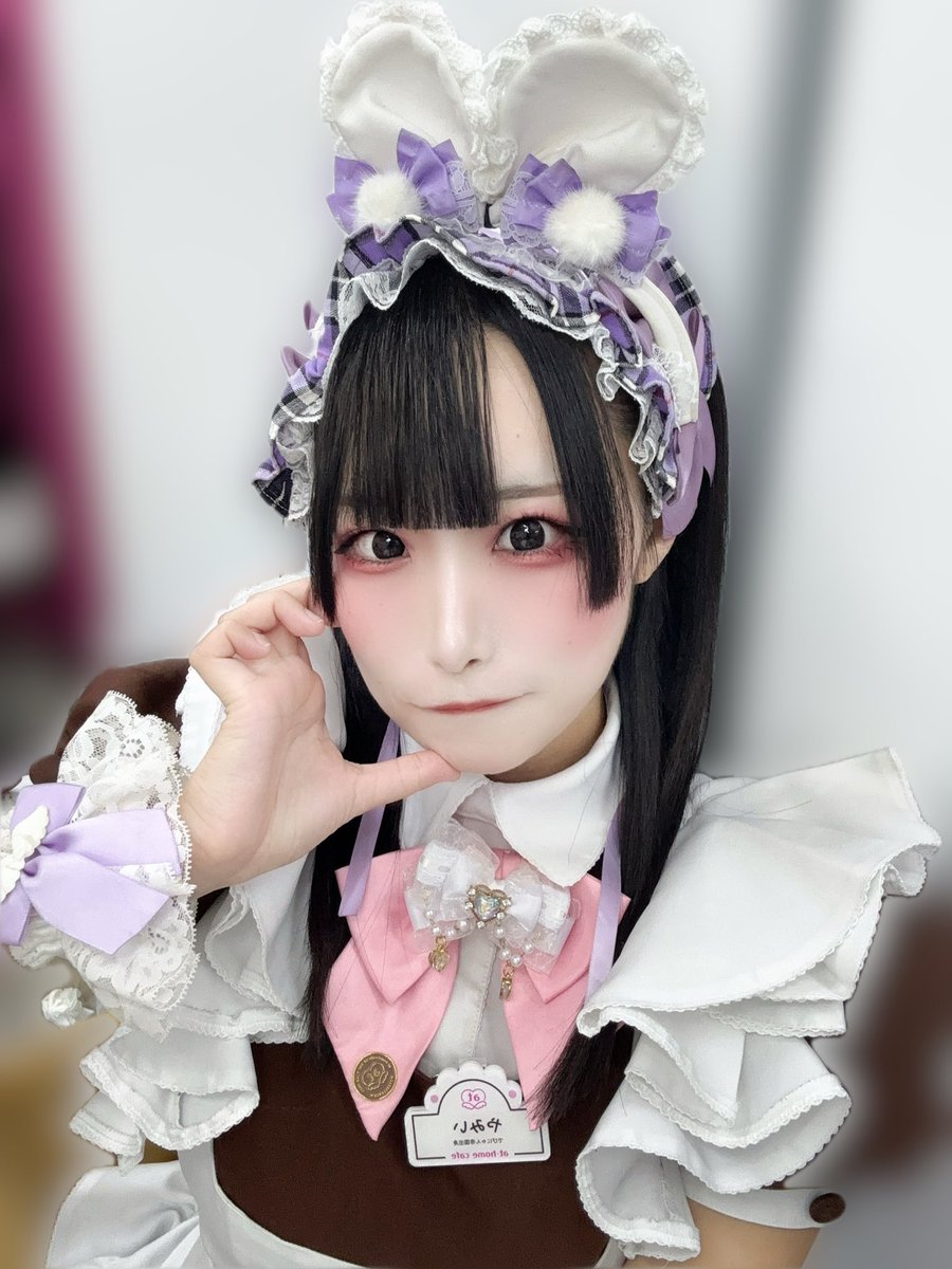 Twitterくん、治った 🕊️🩵