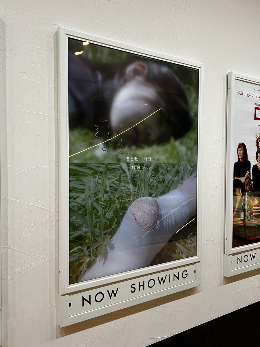 辛い 悲しい けど観れてよかった #君と私 #너와나