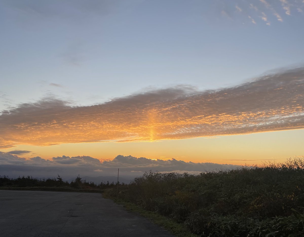 flowingdays__'s tweet image. 