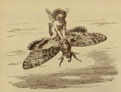 DrSamGeorge1's tweet image. PRINCESS NOBODY 1884 A collaboration between Andrew Lang and illustrator Richard Doyle, uncle of Sir Arthur Conan Doyle. From an early age he displayed a gifted ability to depict scenes of the fantastic, shown  in his images of fairy transport #FairyTaleTuesday