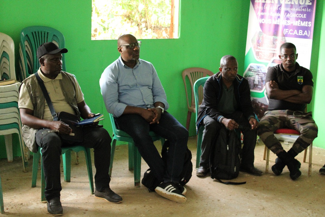 Brainforest Gabon tweet media