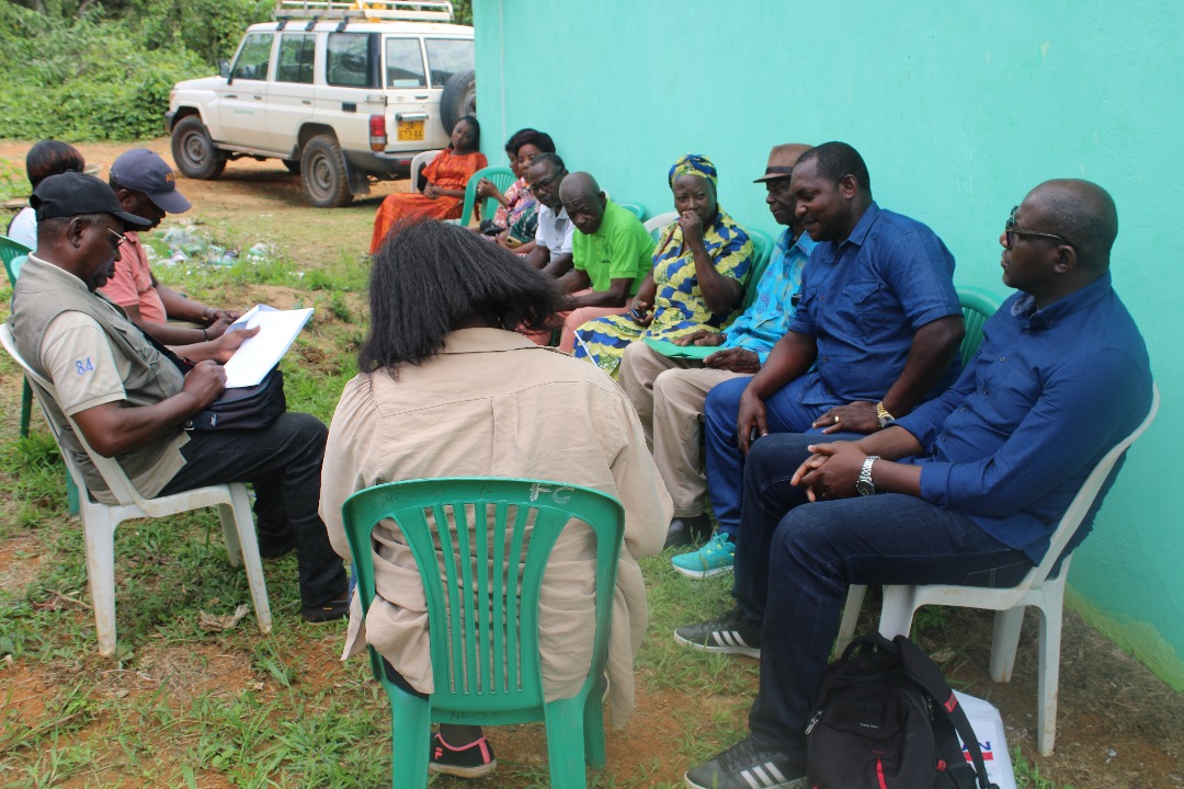 Brainforest Gabon tweet media