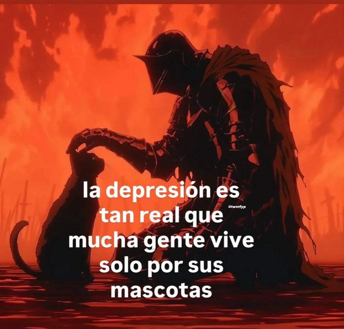 twetfyp's tweet image. 