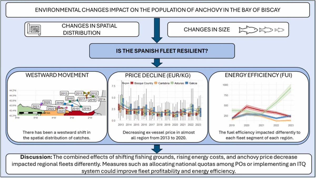 🚨 New paper: Bay of Biscay anchovy fishery after 2005 closure
🌍 Westward shift
💶 53% price drop
⛽ Fuel use ↑150%
Could ITQs be the energy-smart solution? ⚡
📖 FREE until Jan 4: authors.elsevier.com/a/1m6QP,714Myb…
#Fisheries #Sustainability #EnergyEfficiency ♻️ 
#ModFish_AZTI <a href="/oihanecb/">Oihane C. Basurko</a>