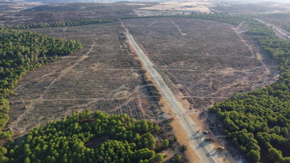 "Sandfire MATSA está talando 36.000 pinos en Valdelamusa con el beneplácito de las administraciones públicas".

FB Valdelamusa Viva facebook.com/valdelamusaviv…