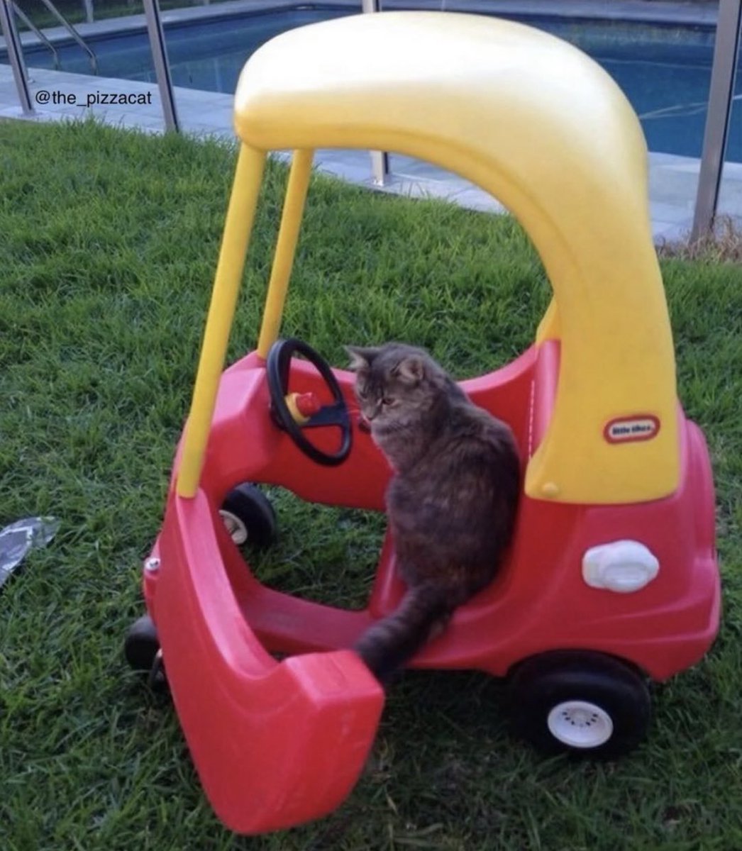 gatinarios's tweet image. seu uber chegou