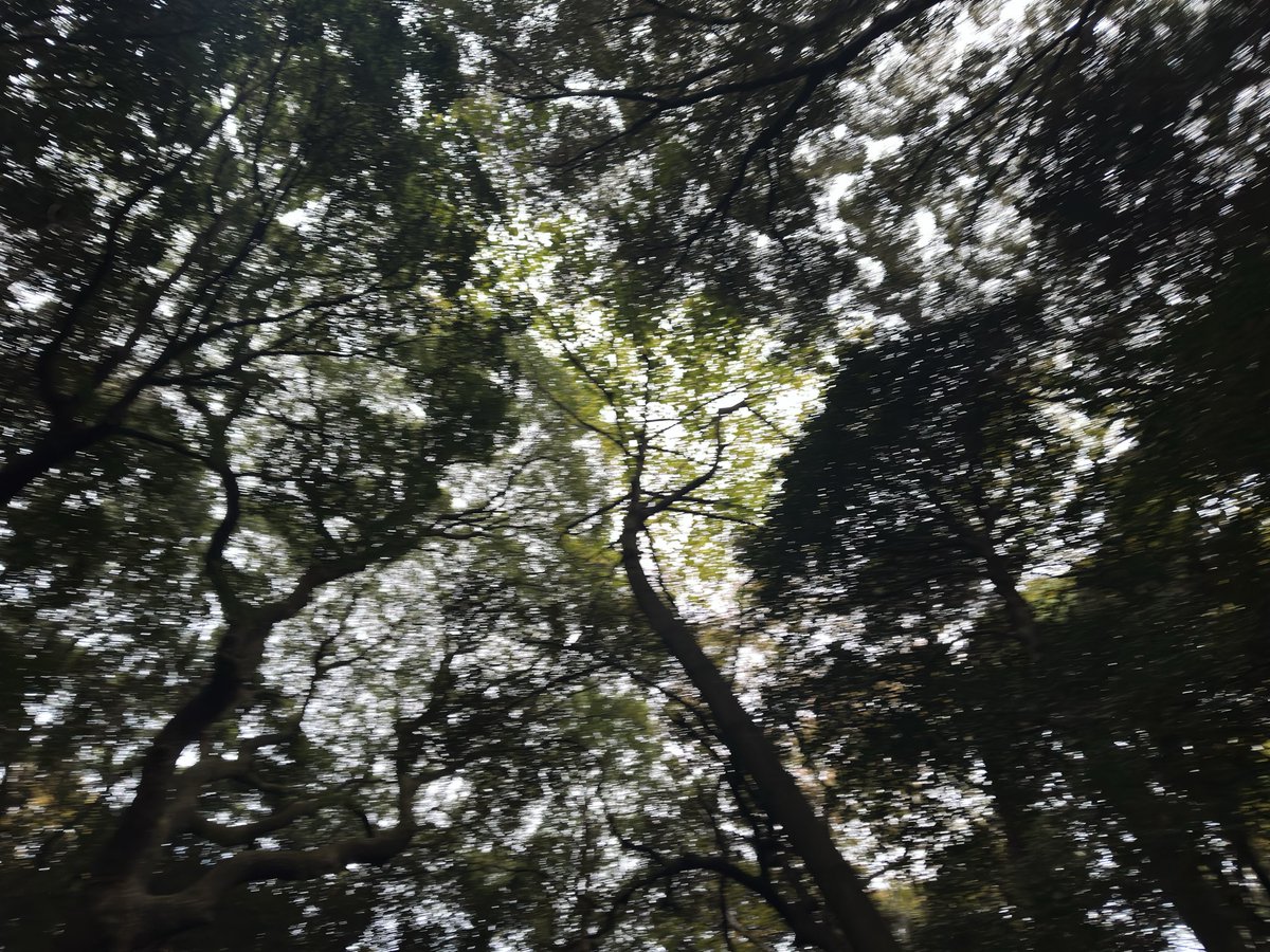 GGbond_11's tweet photo. 抹茶还不错 https://t.co/sB1L9lK7cy