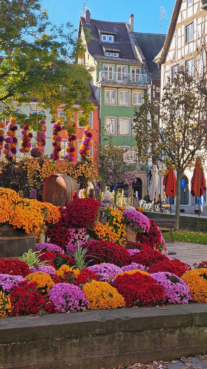 djamshul's tweet image. Эх, красотищща