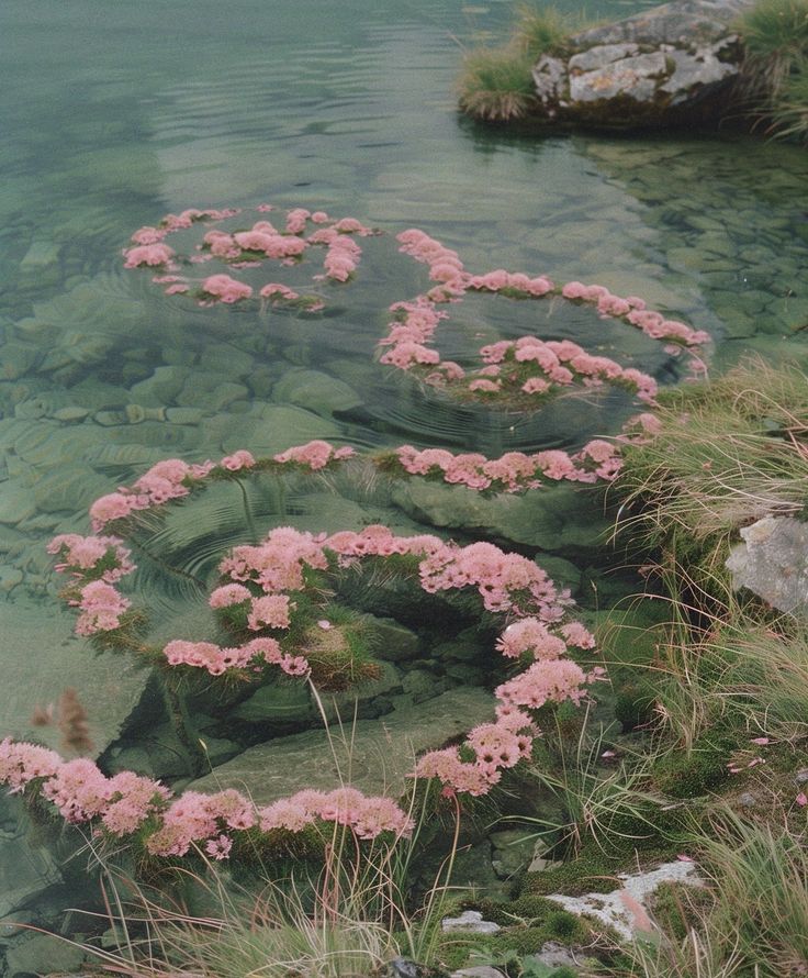 𓍊˖ ࣪⊹ (@goblinc0re) on Twitter photo 