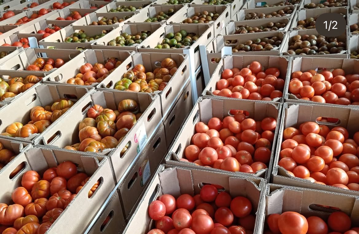 🔹 FOGGA | A lo largo de este mes de noviembre hemos repartido entre nuestras entidades colaboradoras 22.534 KG de verduras | Alimentos frescos de temporada que proceden del Fondo Gallego de Garantía Agraria 🔹

🍅 18.870 Kg de tomate
🥒 3.664 Kg de pepino