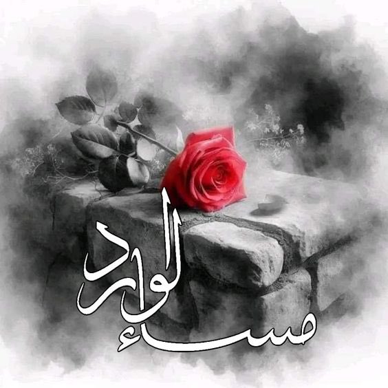 أطيب الورد وأكاليل الورد معطرة 
لجمال أرواحکم

طبتم وطاب مساكم