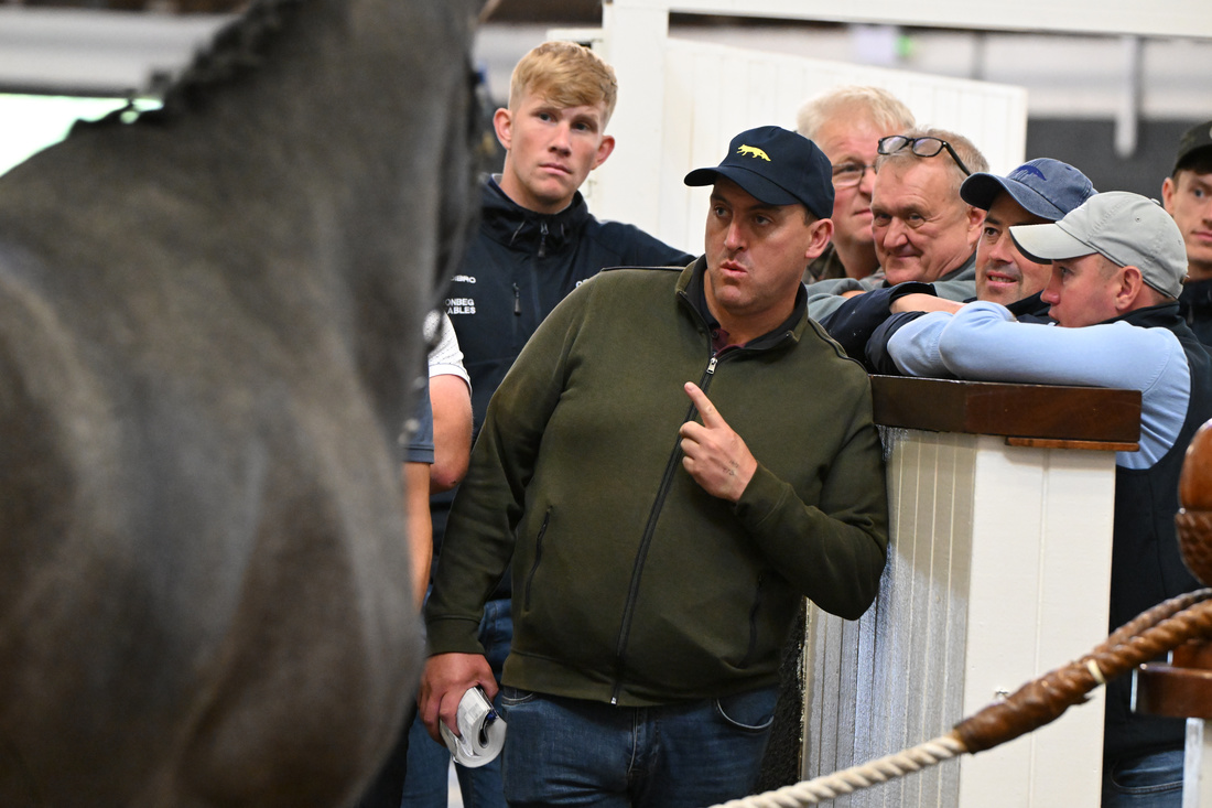 Tattersalls_ie's tweet image. Derby Sale Gatineau Park opened his account in good style at Lingfield for @kimbaileyracing.

The 5yo grey is out of a half-sister to the three-time Gr1 winner Frodon, and was purchased at #DerbySale 2023 from Moanmore Stables by @MonbegStables 

#TattsIreGrad #TattsIreStore