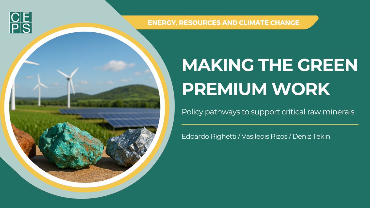 Meeting the EU’s sustainability objectives requires scaling the supply of critical raw materials (CRMs) while ensuring production complies with environmental, social and governance (ESG) standards. Yet in today's market, where high-emission and low-cost CRMs appeal to many