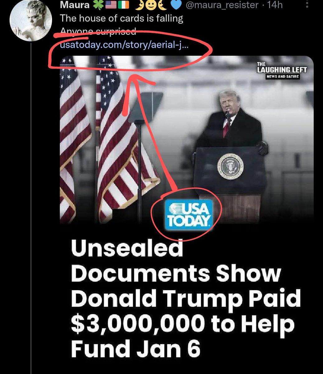 Starwort 🖤 tweet media