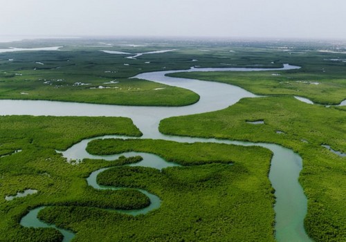 Great message from Pope for COP30 australiancardijninstitute.org/creation-cryin…
