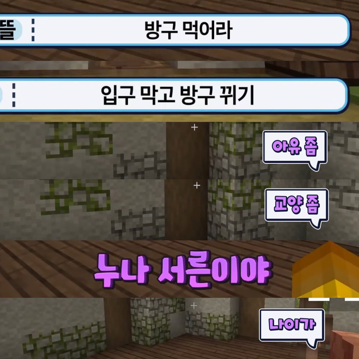 화석 tweet media