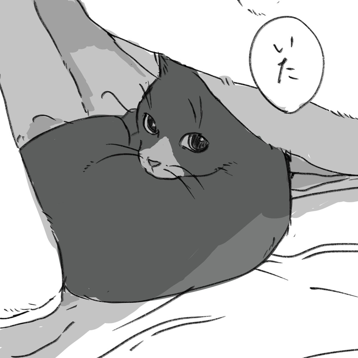 ❤︎MGA❤︎様　確認用 𝕞𝕒𝕢𝕦𝕖 🎀 마케마케 (@make22_0506) / Posts / X