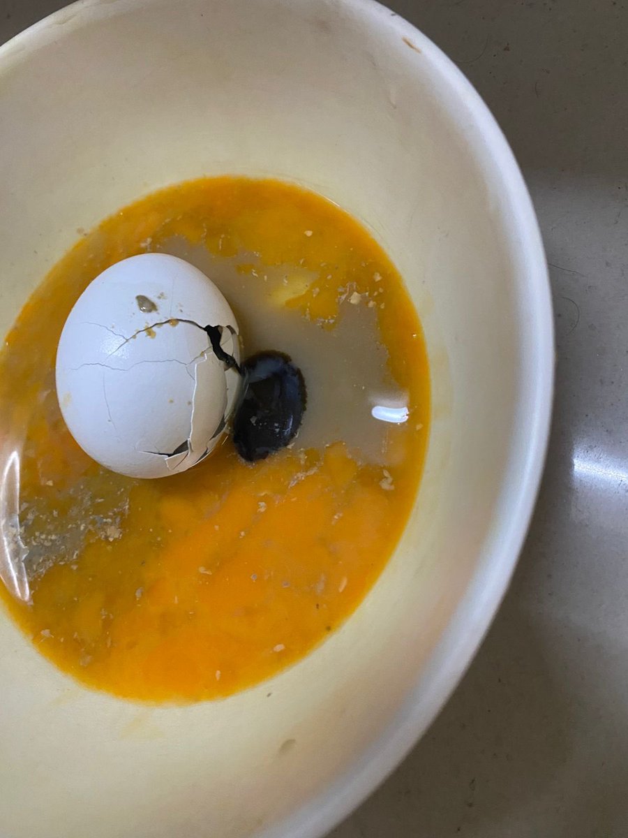atulalexander's tweet photo. I ordered these eggs from @letsblinkit and look what they look like.

@letsblinkit  who will be responsible if i fell ill , who will be responsible for anything that happens to me after consuming this , this is what you serve us and make money through , absolutely disgusting. https://t.co/Ryv3n7NGoA
