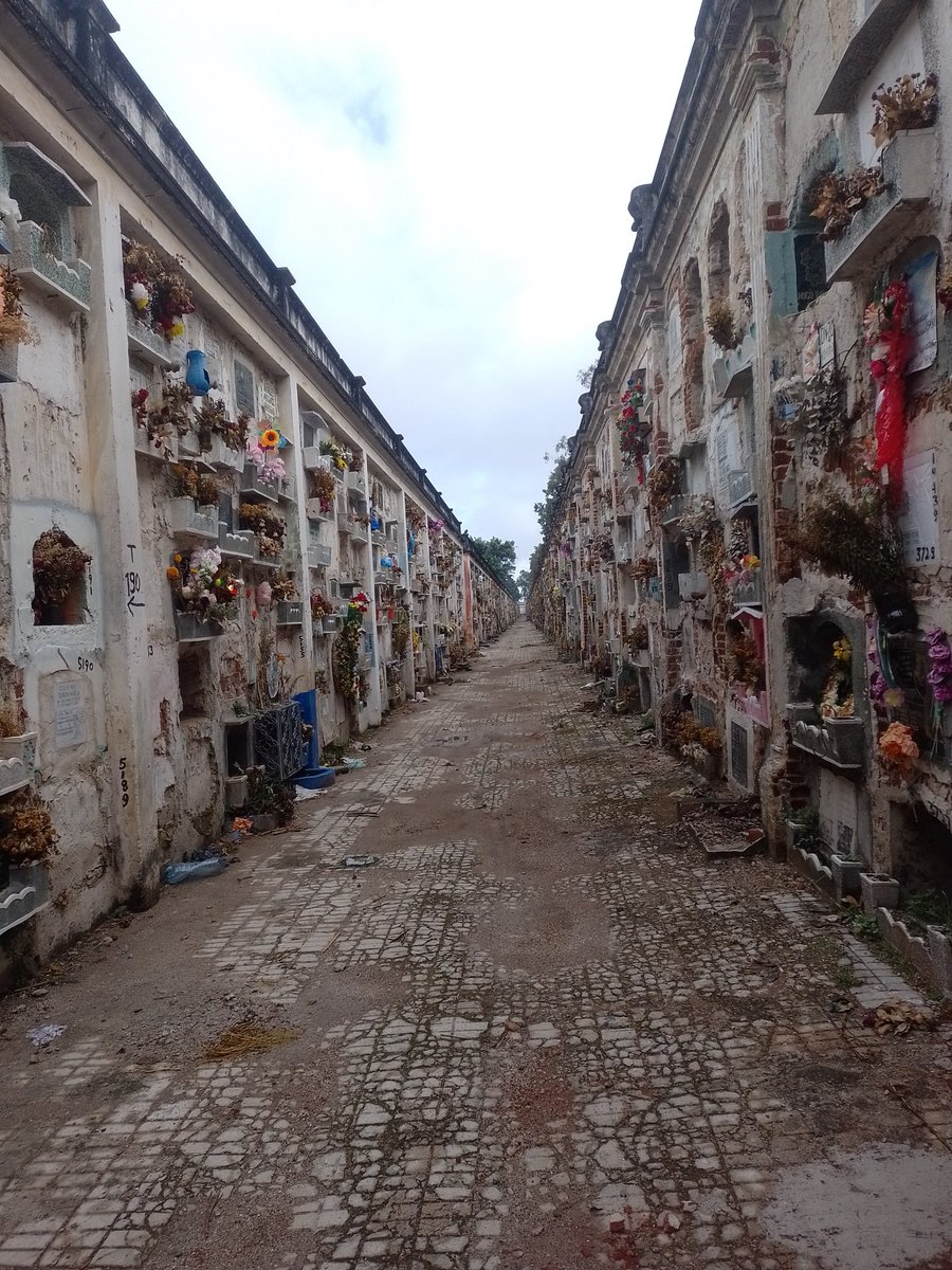 marycoder's tweet image. Uno estresadose y al final #mementomori