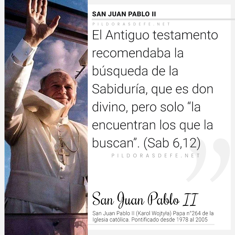 Qriswell tweet media