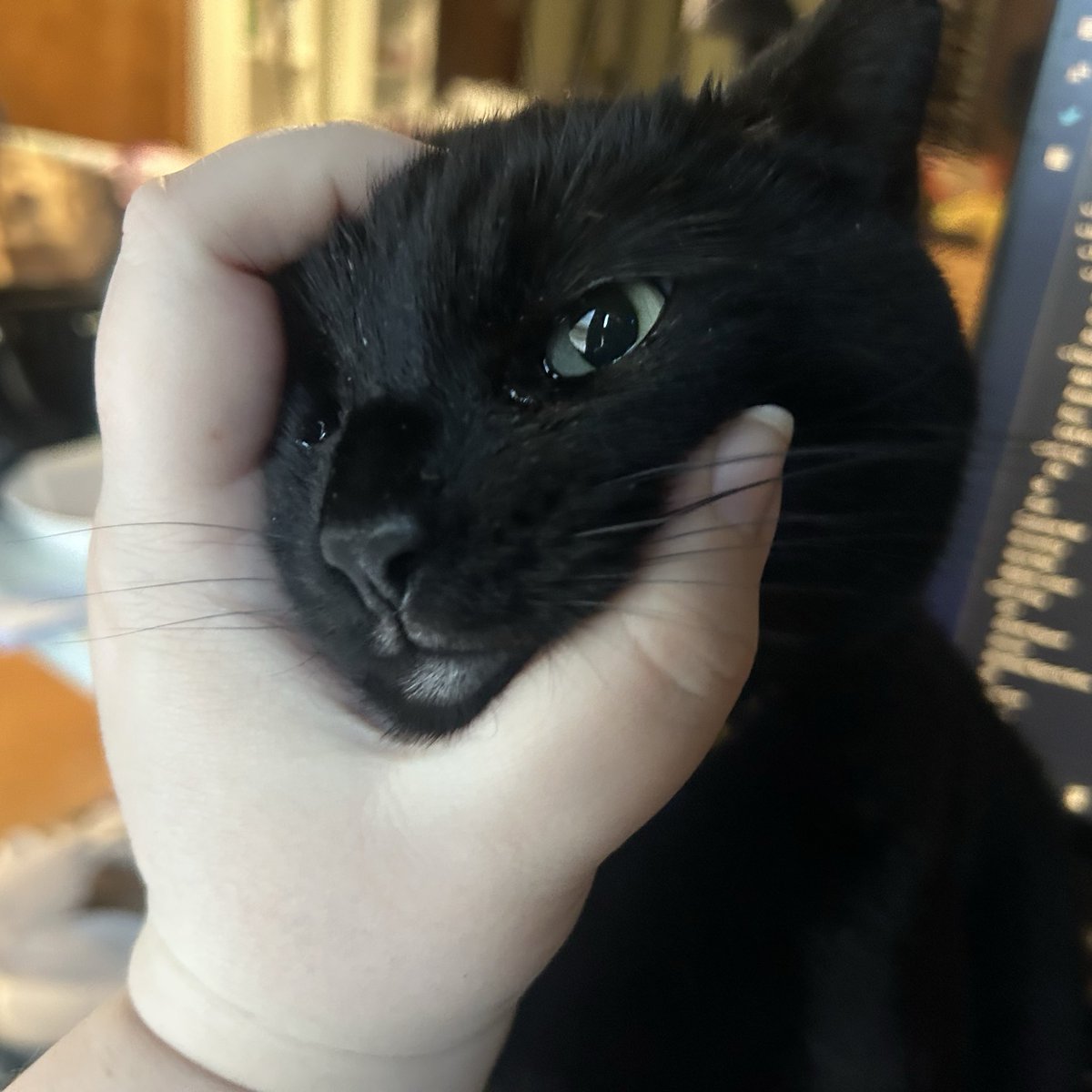 Bbella and MOLLY Burd! 🇵🇸 tweet media