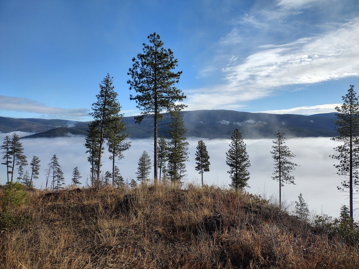 Mathamphetamime's tweet image. 