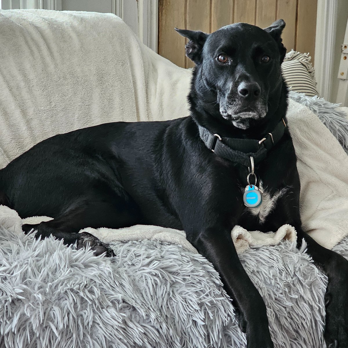 Friends it's still raining...mom is praying our cliff doesn't fall.....AGAIN !😵‍💫