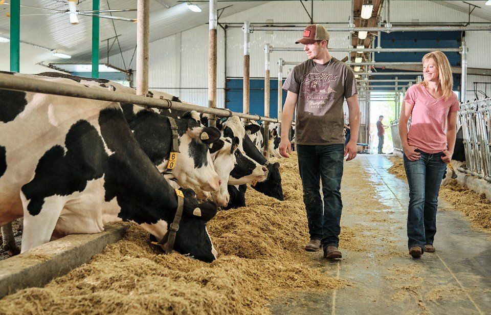 “From coast to coast, dairy farmers work together to provide safe, high-quality milk every day,” says <a href="/DairyCanada/">Dairy Farmers of Canada</a> President David Wiens, calling supply management “a made-in-Canada solution” that ensures reliable, homegrown food. 

Read more: ruralprosperity.ca/the-rural-roun… 

#cdnpoli