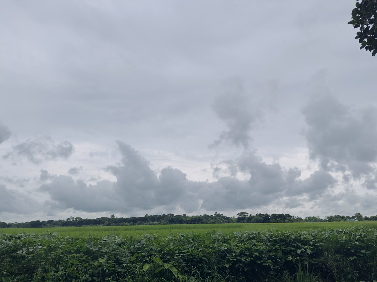 Walid Bro tweet media