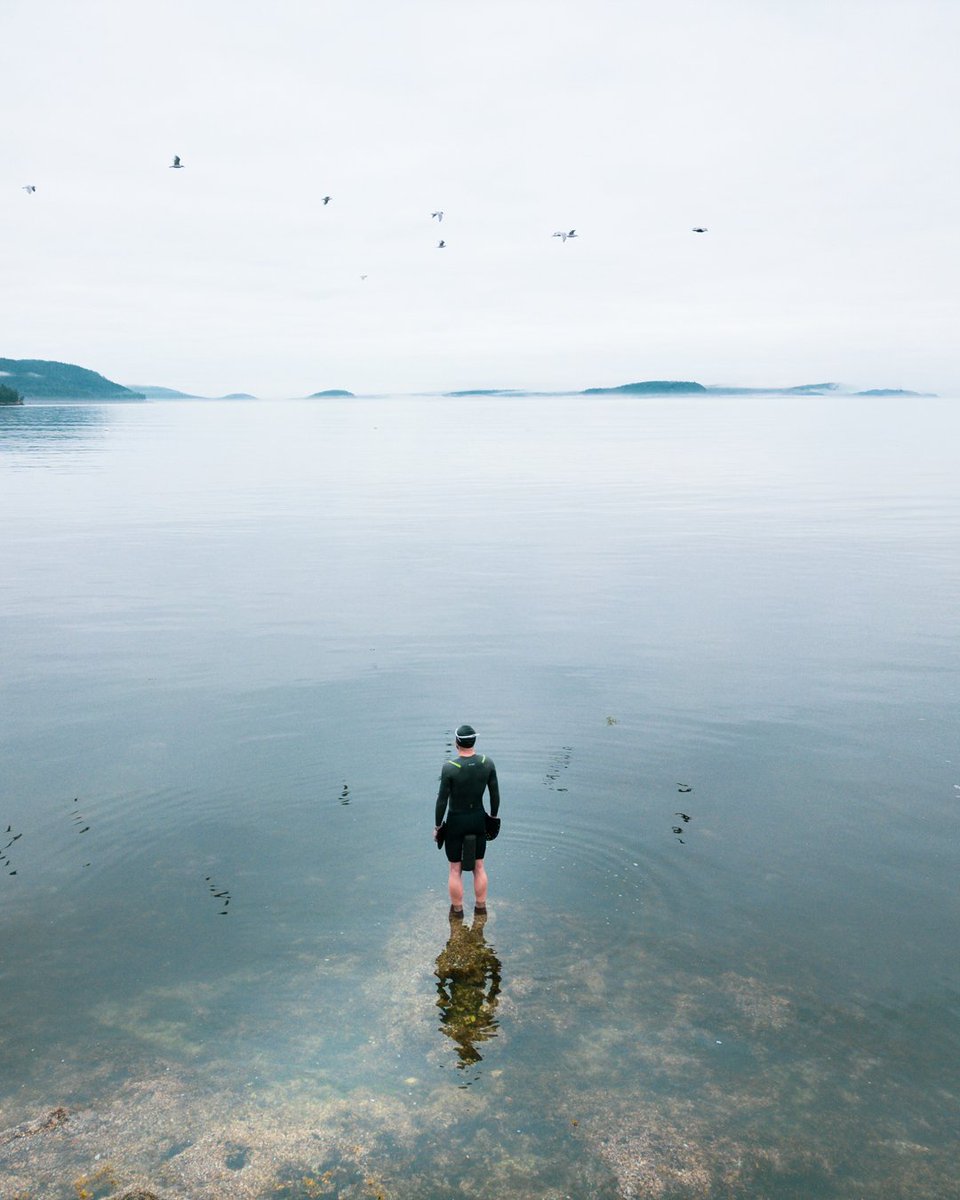 orcasportswear's tweet image. Swimrun is a journey through water and land, where the line between disciplines disappears. You swim, you run, you adapt, carrying everything you need from start to finish.

#ChasingEpic #RaisedInTheWater #Swimrun