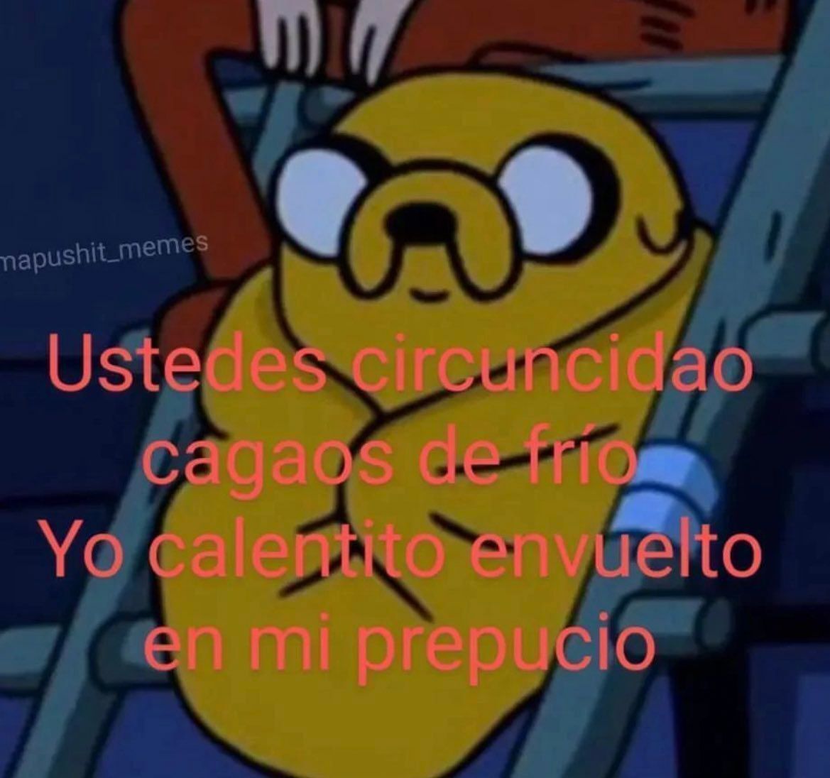 chincheto pirata somali tweet media