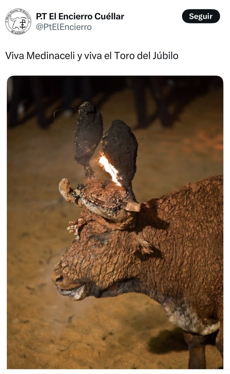 Lo del #ToroJubilo, en Medinaceli (Soria), es una barbaridad, que dice muy poco de las personas que pueda gustarles un espectáculo, que podría calificarse de sádico. Resulta increíble que esto ocurra en España en pleno siglo XXI. El Gobierno debería prohibir ya esta aberración.