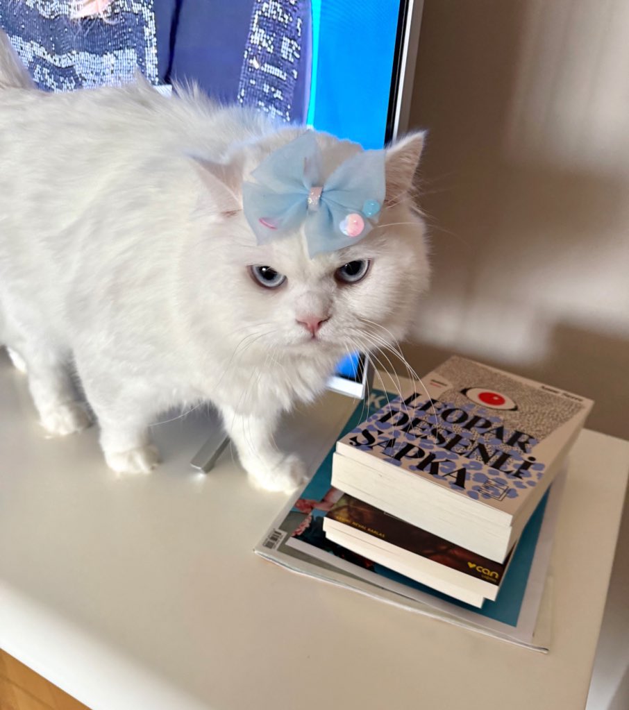 _khkmagduru_'s tweet image. Bugün prensesler günüymüş kutlu olsun…

 #prenseslergünü