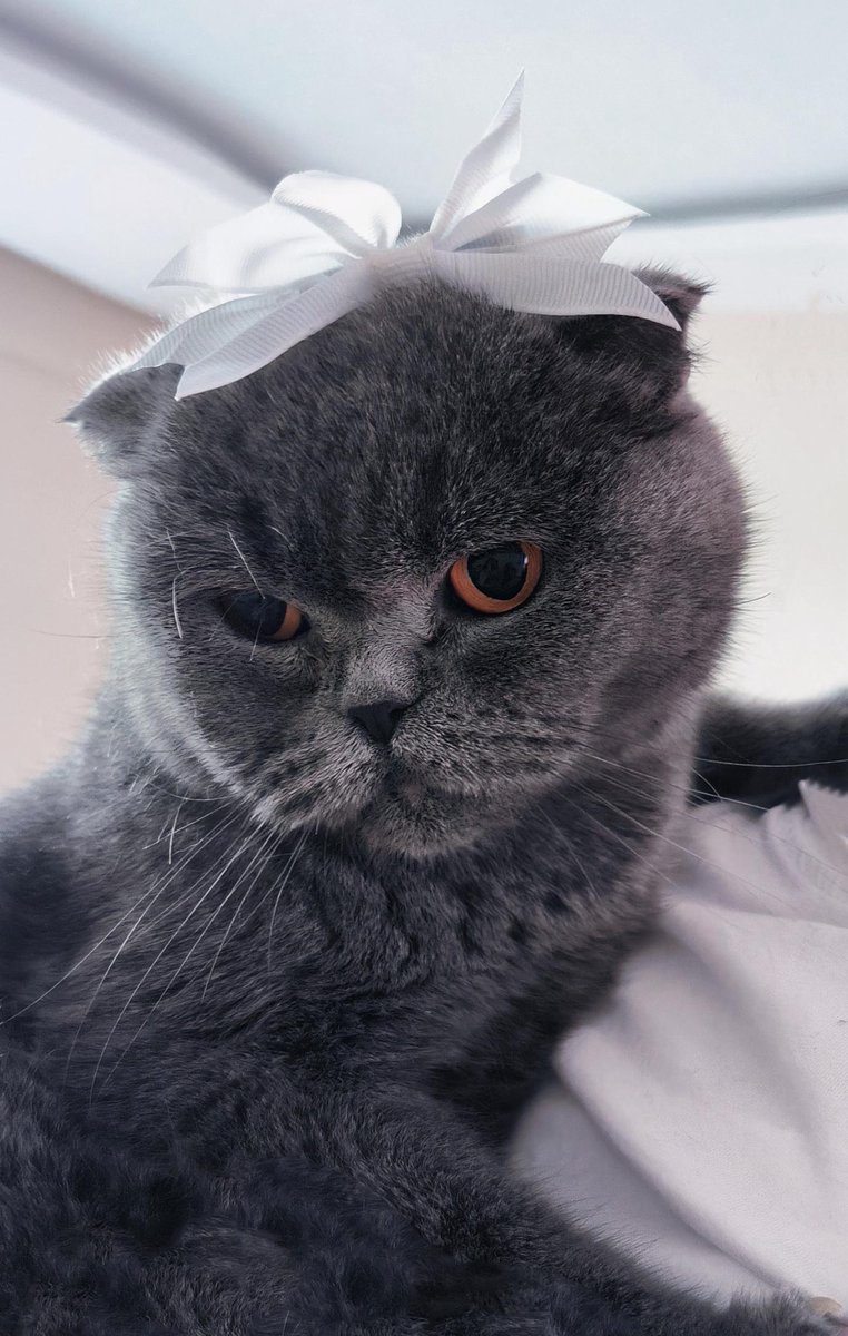 _khkmagduru_'s tweet image. Bugün prensesler günüymüş kutlu olsun…

 #prenseslergünü