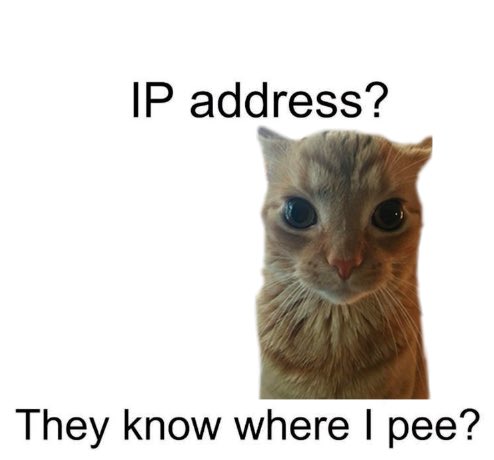 GaK (@gakstercat) on Twitter photo 